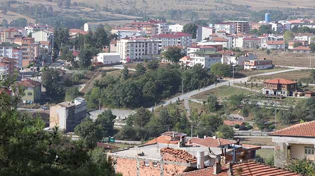 Yatırımın Yeni Gözdesi Kavak