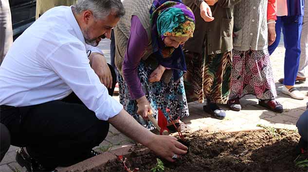 BAFRA HUZUREVİ BAHÇESİ ÇİÇEKLERLE SÜSLENDİ