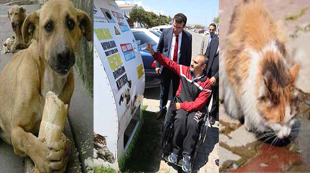 Kapınızın önüne bir kap su koyun!...