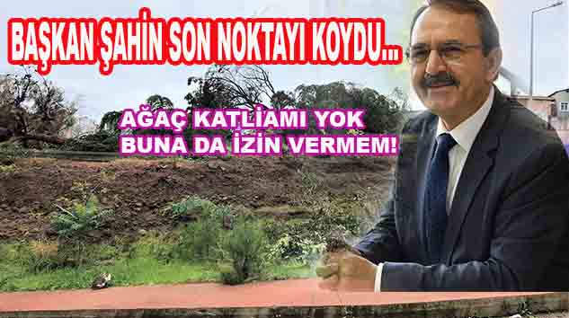 AĞAÇLAR VATANDAŞ MÜLKİYETİNDEKİ ALANDA