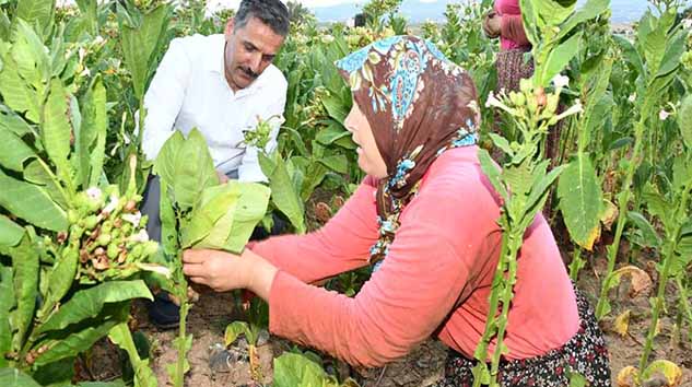 '15 EKİM DÜNYA KADIN ÇİFTÇİLER GÜNÜ' MESAJI