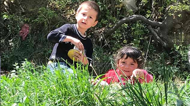 OMÜ Samsun'un Geleneksel Tıbbi Bilgi Haritasını Çıkardı