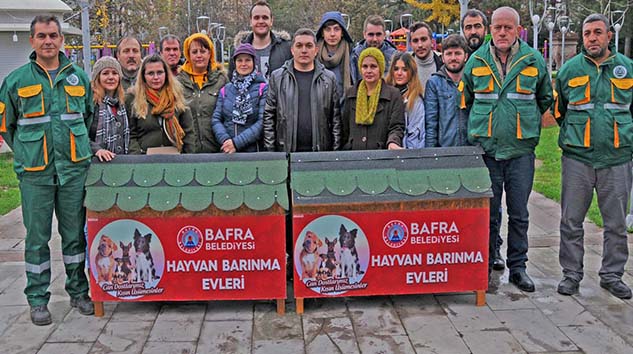 BAFRA'DA SOKAK KÖPEKLERİ ARTIK ÜŞÜMEYECEK