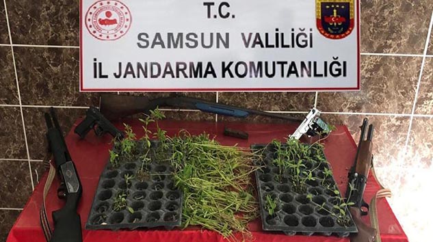 Samsun'da Jandarmadan Suç Örgütüne Darbe