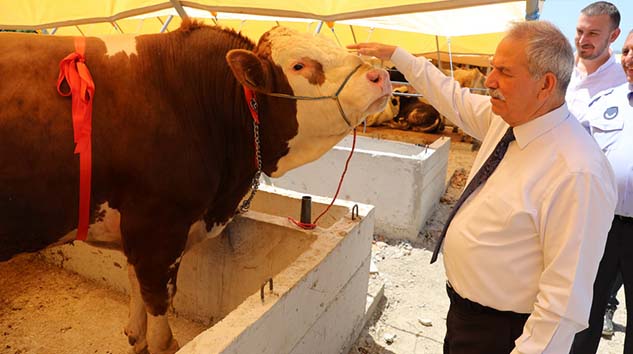 Yeni Yapılan 27 Dönümlük Kurban Satış Yerini Gezdi