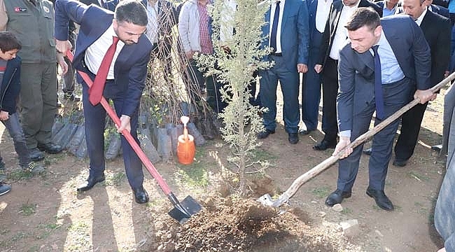 Ayvacık Belediyesi Fidan Dikti