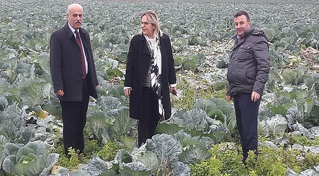 İktidarın Tarım Politikasını Bafra'dan Eleştirdi!