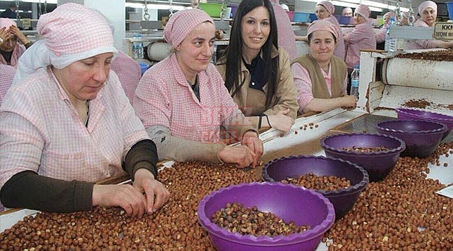 Fındık Fiyatları Üreticilerimizi Memnun Etti