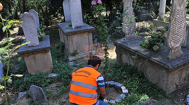 Tarihi Mezarlıkta Peyzaj Düzenlemesi