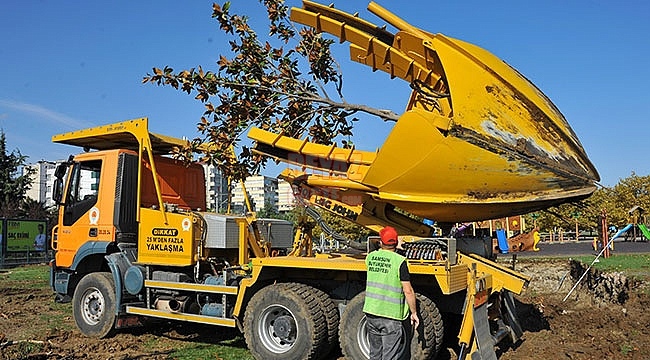 Büyükşehir'den Ağaç Hassasiyeti