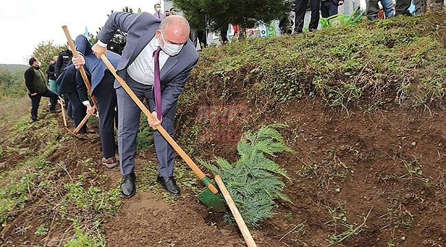 Canik'te Fidanlar 'Geleceğe Nefes' İçin Dikildi