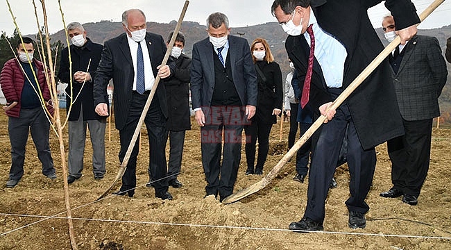 Samsun, Türkiye'nin En İyisi Olacak