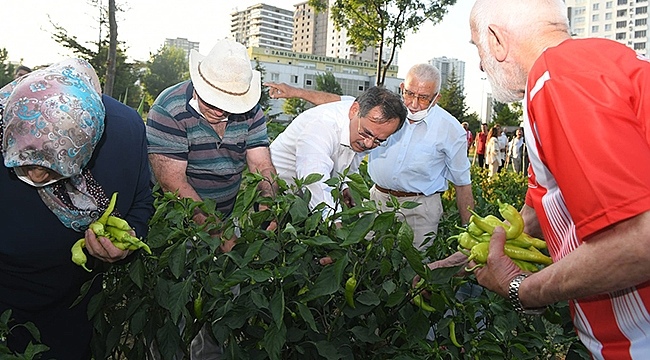 Huzurevi Sakinleri İle Sebze Topladı, Bocce Oynadı