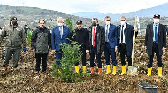 Samsun'da Fidanlar Toprakla Buluştu