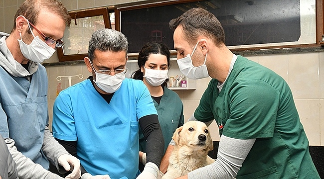 Büyükşehir Onlara Sahip Çıktı