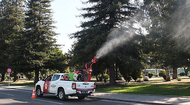 Kentin 'Ciğerlerine' Büyükşehir'den Bakım