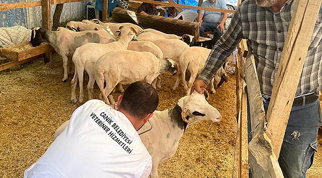 Denetimlerimizi Aralıksız Bir Şekilde Sürdürüyoruz