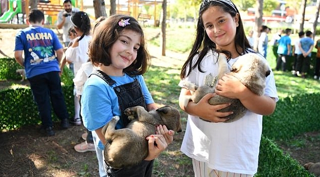 4. Pati Şenliği'nde Hayvanseverler ve Can Dostları Buluştu