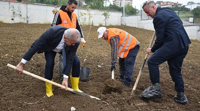 Atakum'daki Okullarda Meyve Ağaçları Yetiştirilecek