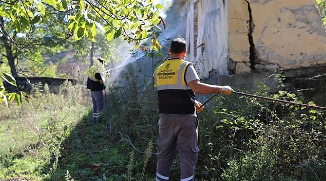 Büyükşehir'den Kahverengi Kokarcayla Mücadeleye Destek