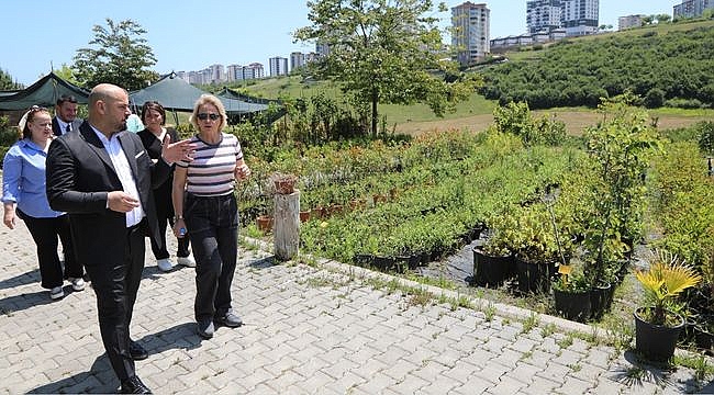 Atakum'da Yeşillendirme Çalışmaları Hızlandı