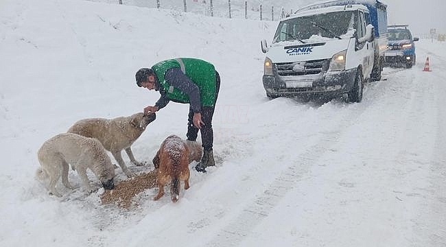 Can Dostların İmdadına Canik Belediyesi Koştu