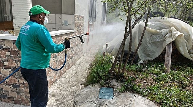 Canik Belediyesi'nden Kokarca Böceğine İlaçla Müdahale